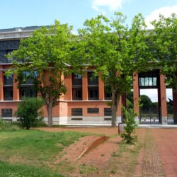 Dr Roustan, le rectorat de Toulouse, le CeGIDD