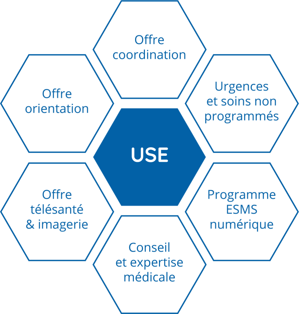 les différents rôles présent dans le département USE ; programme ESMS ; offre télésanté ; conseil et expertise médicale ; urgence et soins non programmées ; offre orientation et coordination