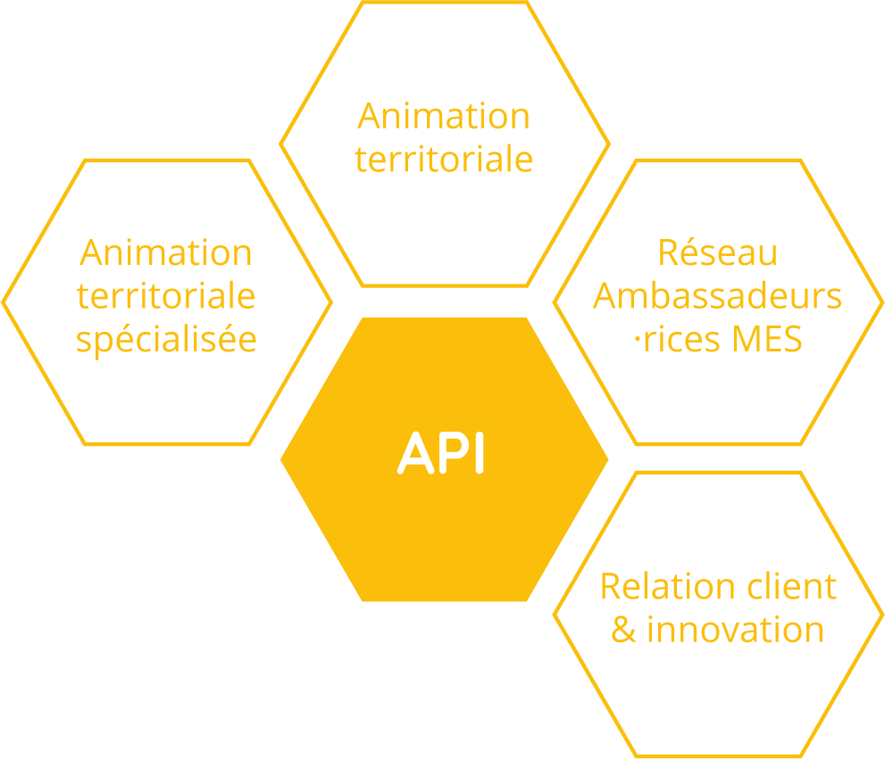 Représentation des pôles présent dans le département API ; animation territoriale spécialisée, AT, relation client, ambassadeurs MES,