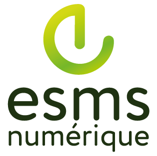 Logo ESMS numérique
