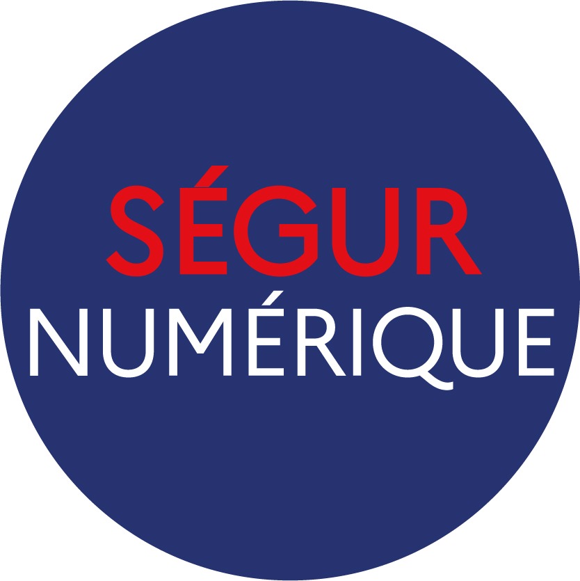 Logo Ségur numérique