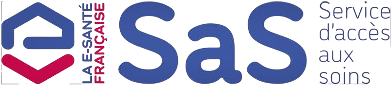 Logo projet SAS