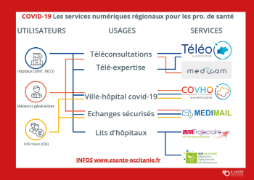 Synthèse des services Covid-19