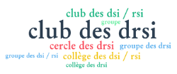 Capture d'écran du nom choisi pour le club des DRSI