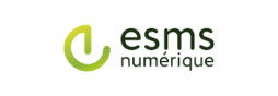 Logo ESMS numérique